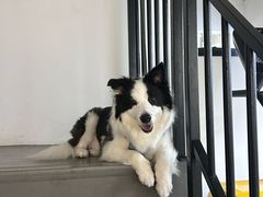 -上海浦东国际机场T1航站楼-P1停车场