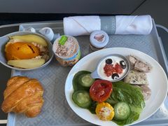 -谢列梅捷沃国际机场