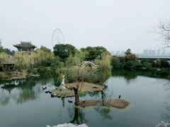 -无锡蠡湖国家湿地公园-蠡园