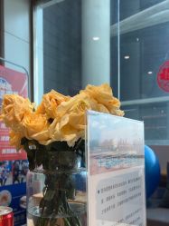 -卡莫瑜伽·普拉提