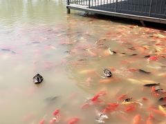 -泰安地下龙宫景区