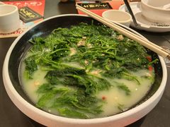 -羽鸽集·乳鸽专门店·地道顺德菜(岭南站店)