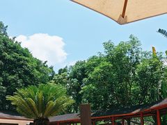 -碧水湾温泉