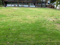 -前小桔亲子创意农场·草莓采摘·露营烧烤