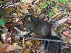 -重庆云阳龙缸景区