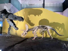 -湖南省地质博物馆