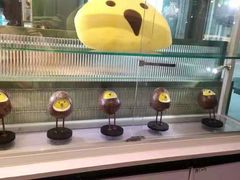 -椰小鸡·琼州糟粕醋(美兰缤纷城店)