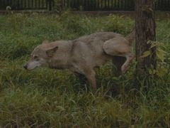 -秦皇岛野生动物园