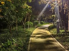 -四里河滨水生态公园