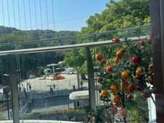 -点都德(广州白云山景区南门店)