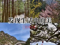-罗田天堂寨风景区
