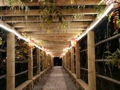 -中家鑫园温泉酒店鑫悦汤泉