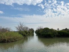 -大湾区中央湿地公园