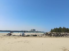 -东郊椰林