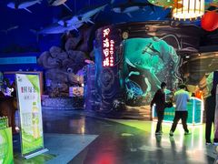 -烟台海昌鲸鲨海洋公园