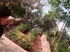 -九龙公园