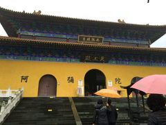 android_upload_pic-天下玉苑