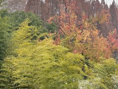 -东坡赤壁风景名胜区