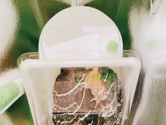 -奈雪的茶(太原茂业天地店)