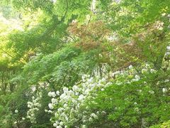 -虞山城墙