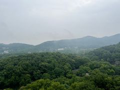 -九曜山