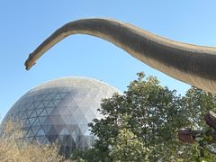 -陕西自然博物馆