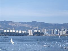 -海埂大坝