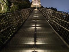 -福道
