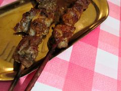 红柳木羊肉串-西域阿里马新疆菜·清真(桂花路店)