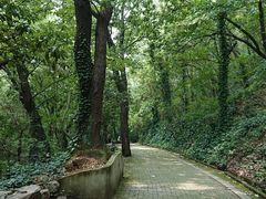-宝岩生态观光园