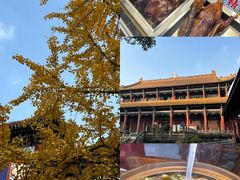 -老鼎万春卤菜(五代传承创始老店)