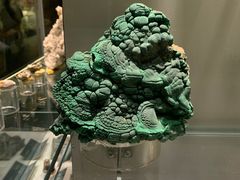 -中国地质博物馆