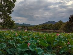 -西湖游船
