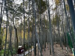 -杭州黄龙洞