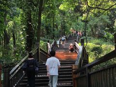 -天鹿湖森林公园