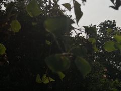 -南湖湿地公园