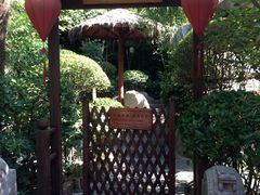 -西安国际创新人才交流中心•药浴温泉
