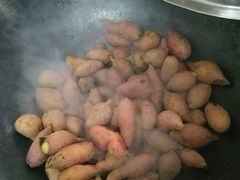 -诚明农家乐