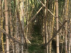 -新地休闲农场