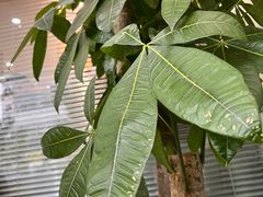 -美迦爱-牙专科·兔科·骨科诊疗中心(北苑店)