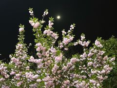 -吴升米皮店(红专南路分店)