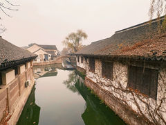 -鲁镇