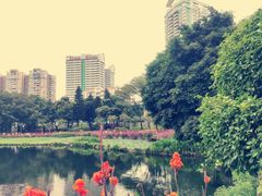 -荔湾湖公园