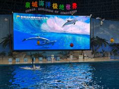 -泉城欧乐堡海洋极地世界