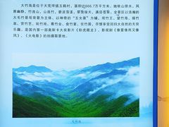 -江南天池