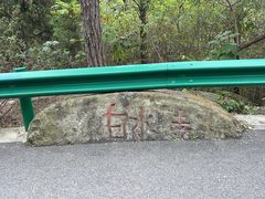 -白水寺森林公园