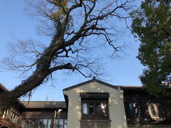 -杭州西湖柳莺里酒店·闻莺厅