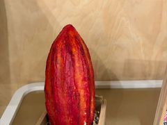 -Patagonia Chocolates(皇后镇店)