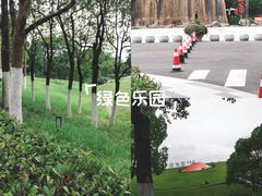 -合肥滨湖国家森林公园