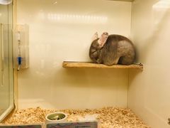 -龙猫仔乐园(惠福东路店)